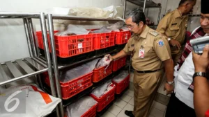 Gelombang Perubahan di Lautan: Menelisik Kabar Terkini dan Tantangan Perikanan Indonesia