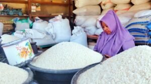 Harga Beras Melonjak: Pemerintah Siapkan Operasi Pasar Nasional