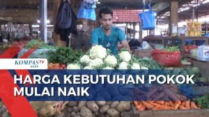 Harga Kebutuhan Pokok Naik Turun: Apa yang Terjadi dan Bagaimana Menyiasatinya?
