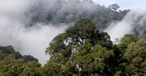Menjelajahi Keajaiban Alam: Kabar Terkini dari Taman Nasional Indonesia