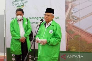 Pemerintah Tegaskan Tidak Ada Pemekaran Daerah Baru Sampai 2026: Apa Implikasinya?