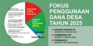 Penggunaan Dana Desa Akan Diaudit Secara Nasional Tahun Ini: Mengawal Akuntabilitas dan Efektivitas Pembangunan Desa