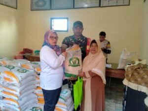 Badan Pangan Nasional Awasi Distribusi Beras di Daerah Rawan: Upaya Stabilisasi Harga dan Ketersediaan Pangan