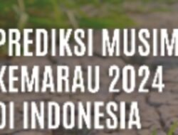 BMKG Prediksi Musim Kemarau Ekstrem, Pemerintah Siapkan Antisipasi