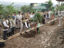 Gerakan Nasional Menanam Serentak: Mengukuhkan Komitmen Hijau di 34 Provinsi