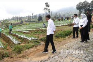 Jokowi: Infrastruktur Digital Harus Sampai ke Seluruh Desa – Menuju Indonesia yang Terkoneksi