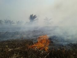 Kebakaran Lahan Gambut Kembali Terjadi di Riau, Status Siaga Diberlakukan: Ancaman Asap dan Upaya Penanggulangan