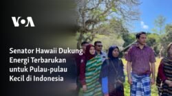 Pemerintah Genjot Energi Surya di Pulau-Pulau Kecil: Terangi Nusantara, Tingkatkan Kemandirian Energi