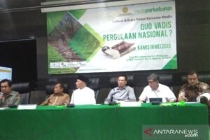 Pemerintah Targetkan Swasembada Gula Dalam 5 Tahun: Misi Ambisius di Tengah Tantangan Global