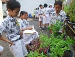 Pemerintah Umumkan Sistem Penilaian Sekolah Berbasis Lingkungan: Langkah Maju untuk Pendidikan Berkelanjutan