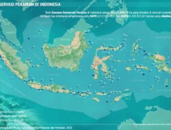 Penambahan Kawasan Konservasi Laut Resmi Disahkan: Langkah Maju Pelestarian Ekosistem Maritim Indonesia