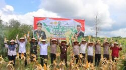 Program Ketahanan Pangan Nasional Masuki Tahap Panen Raya: Momentum Krusial Menuju Kemandirian Pangan