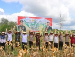 Program Ketahanan Pangan Nasional Masuki Tahap Panen Raya: Momentum Krusial Menuju Kemandirian Pangan