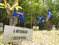 Program Restorasi Hutan Adat Diresmikan Secara Nasional: Langkah Strategis Menuju Keseimbangan Ekologi dan Keadilan Sosial