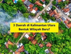 Taman Nasional Baru Diresmikan di Kalimantan Utara: Harapan Baru Konservasi dan Ekowisata