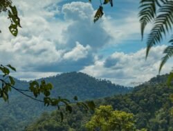 Taman Nasional Gunung Leuser: Warisan Dunia yang Harus Dijaga Bersama
