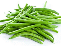 Kandungan Nutrisi Buncis yang Menunjang Kesehatan Harian