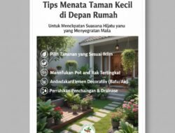 Tips Menata Taman Kecil di Depan Rumah Untuk Menciptakan Suasana Hijau yang Menyegarkan Mata